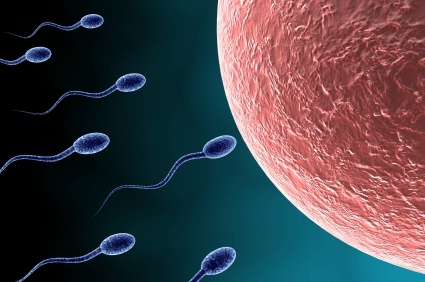  Best Infertility Centre in Udaipur, Bhilwara, Ajmer 